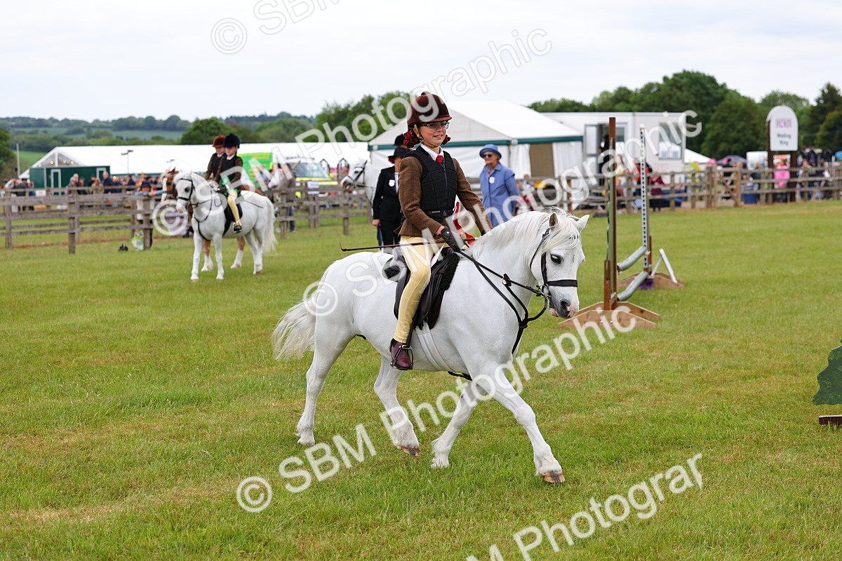 SBM_08879 - Class 42-43 - LIHS BSPS Heritage Working Sports Pony
