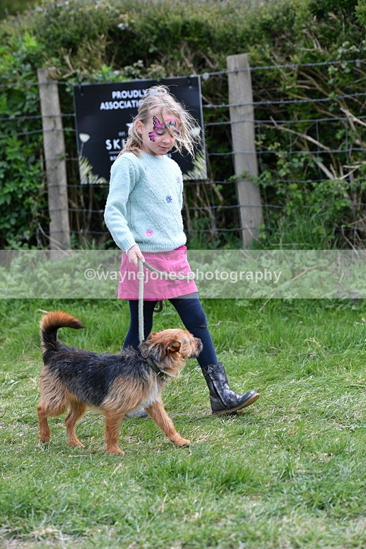 WJ5_0250 - Class 7 Best Terrier