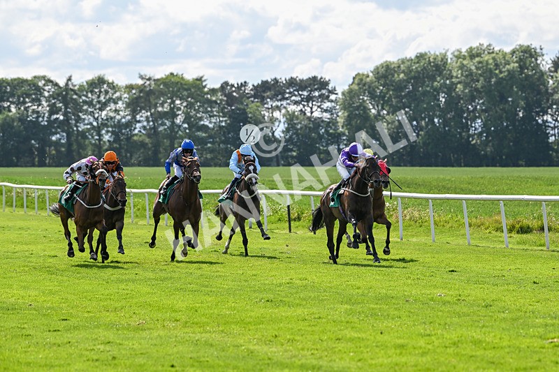 060625-Race 6-Ludos Landing-5177