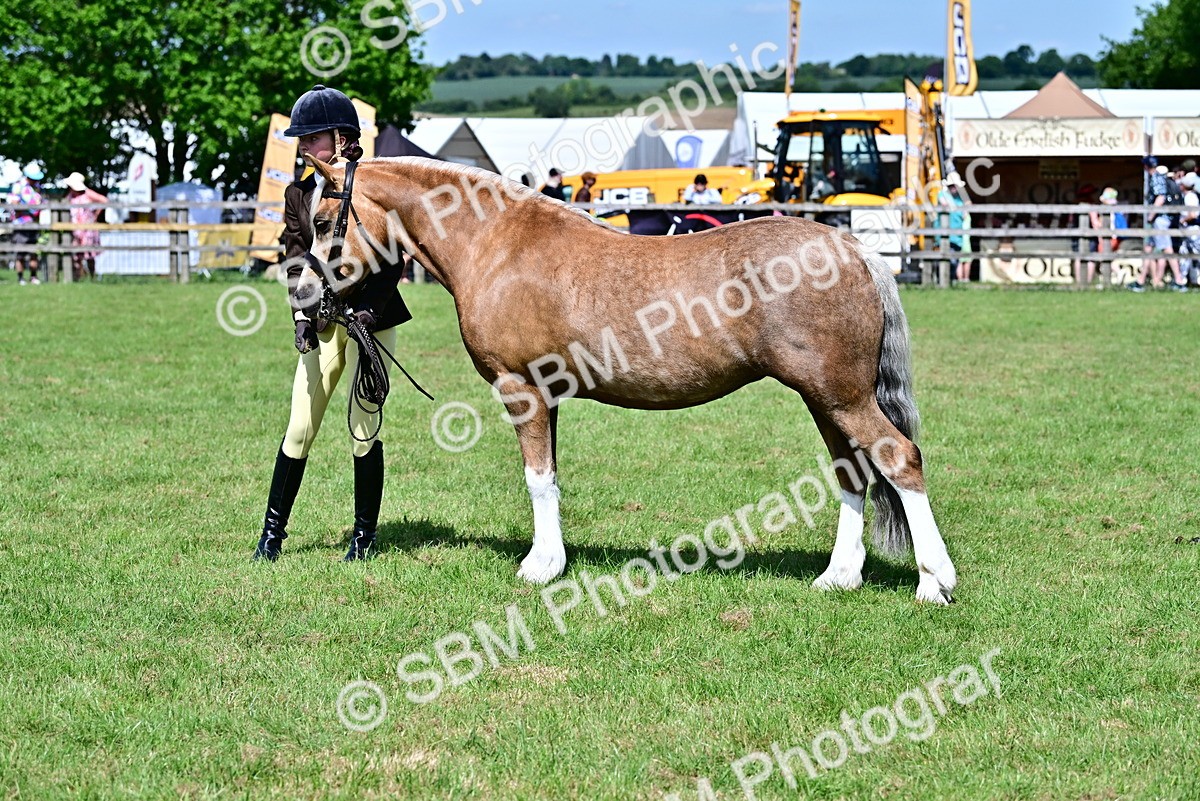 SBM_08052 - Class 61-62 - TSR  M&M Ridden Amateur of the Year