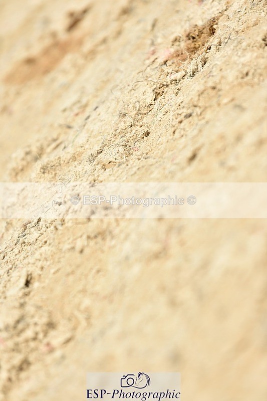 230706-134108-03137 - Cls 6 Newcomers & 1.10m Open