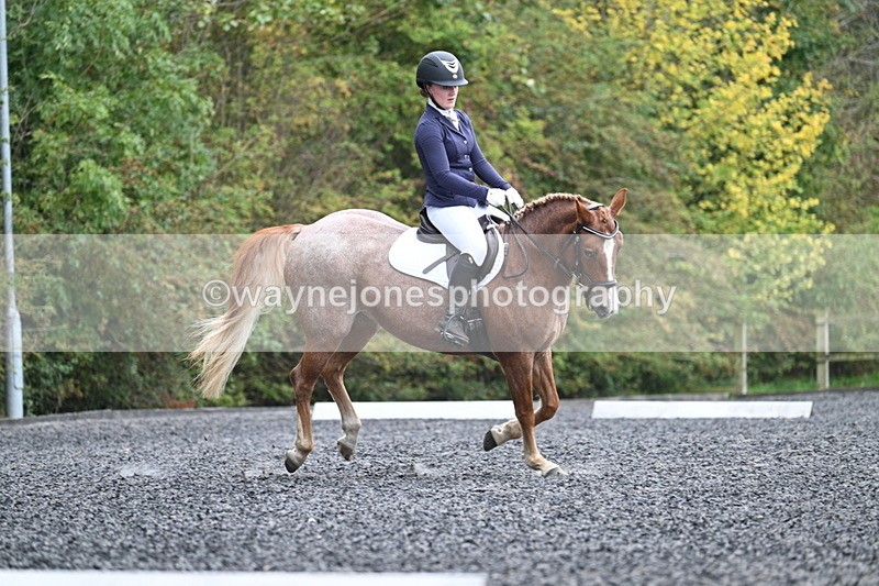 WJ7_3760 - Time 11:04 to 11:38