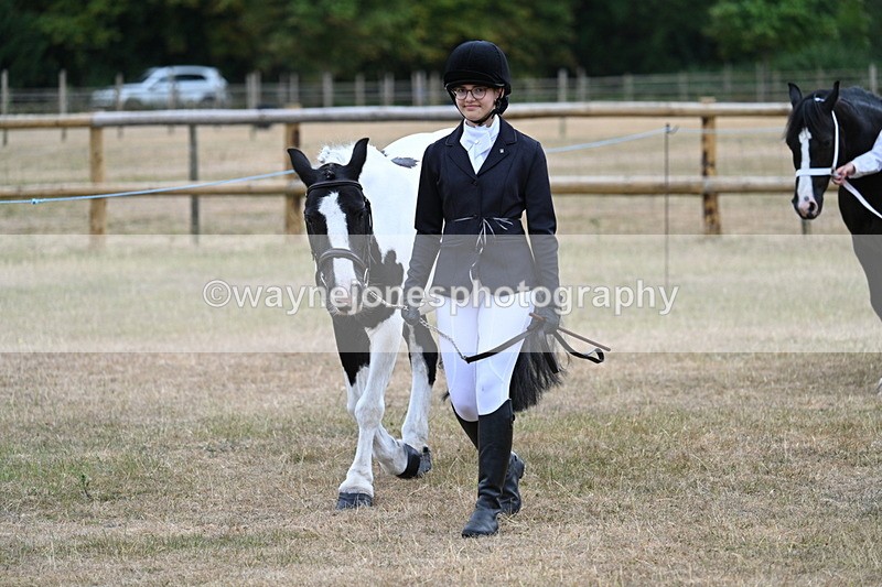 WJ7_8030 - Class 4 Prettiest Mare up to 14.2hh