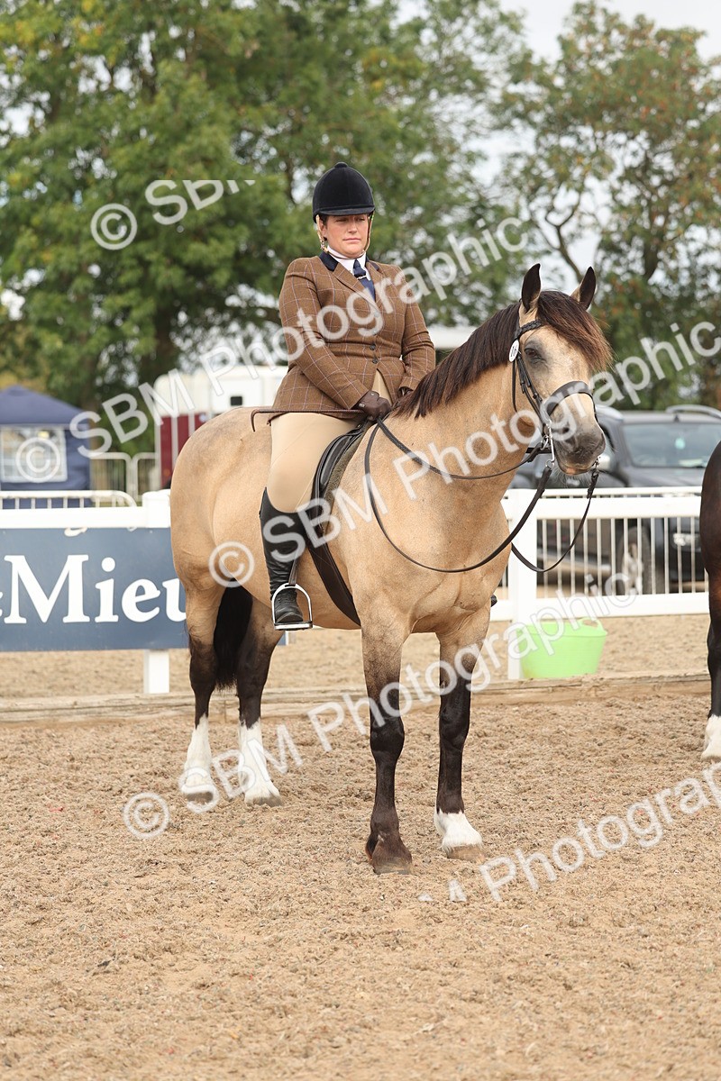 SBM_01929 - Class 14 - Ridden M&M Wildcard