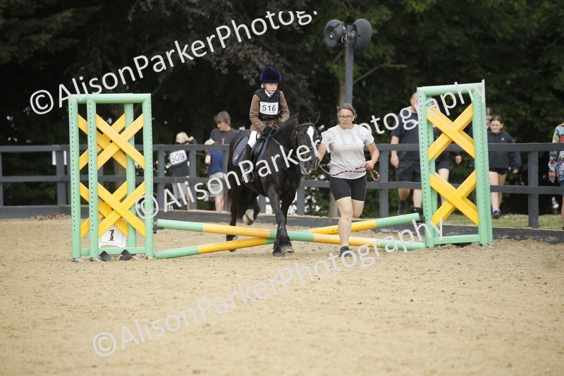 20250622-1330 - 40cm