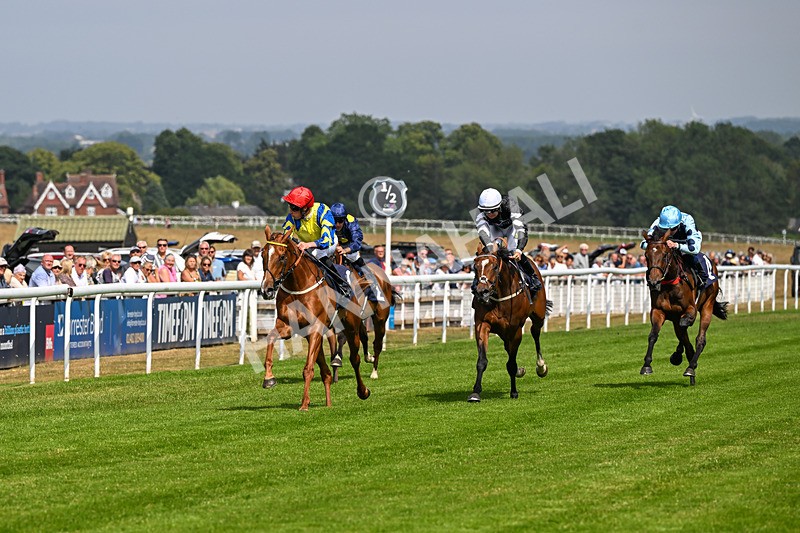 140726-Race 3-Pendella-0351 - Race 3 15.17pm Malcolm Greenslade Doncaster LVA Stalwart Memorial Handicap