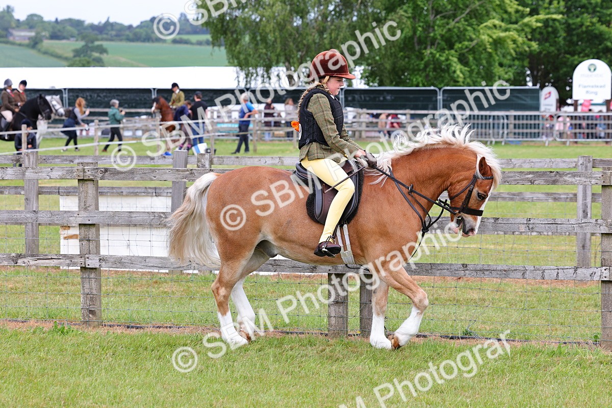 SBM_08540 - Class 42-43 - LIHS BSPS Heritage Working Sports Pony