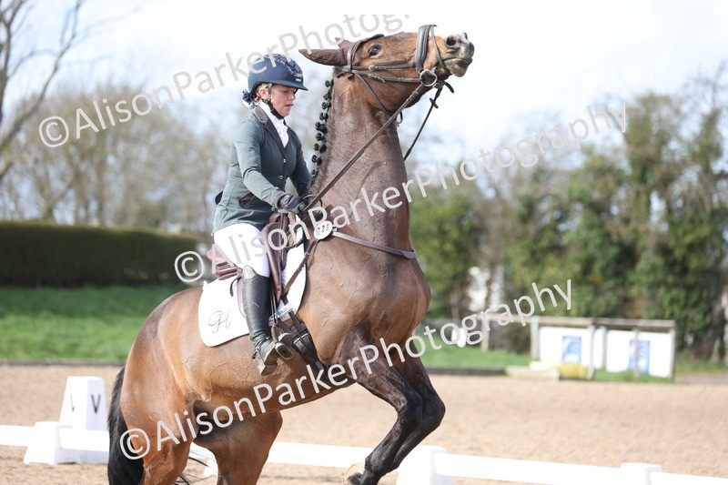 20260301-0721 - Class 4 - Novice 5