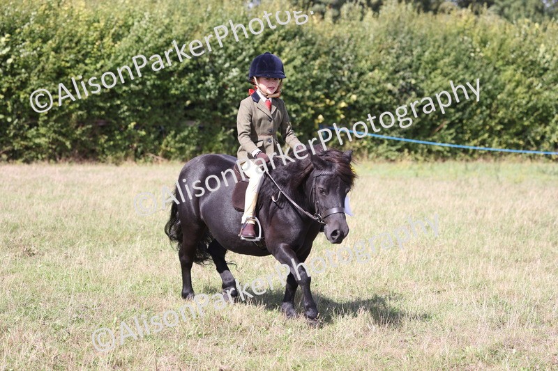 20260906-3124 - Class 18 - Childs First Pony
