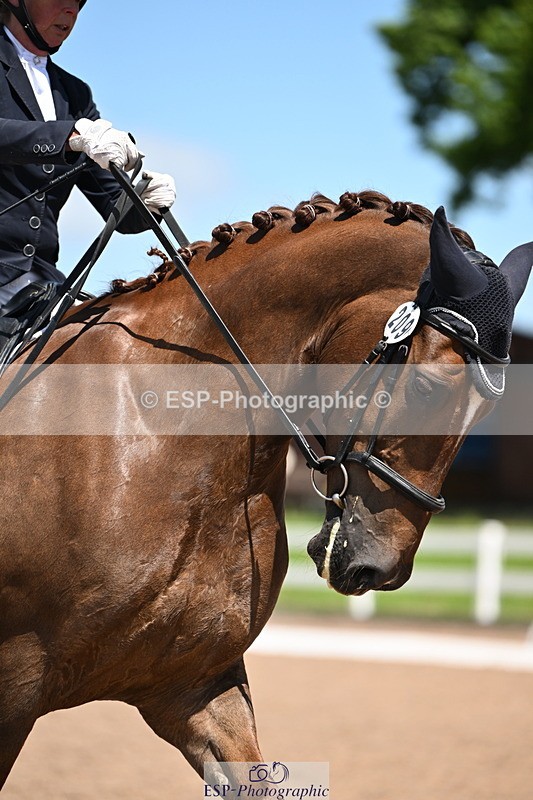 240621A-134753-04161 - Cls 8 BD Elementary 53