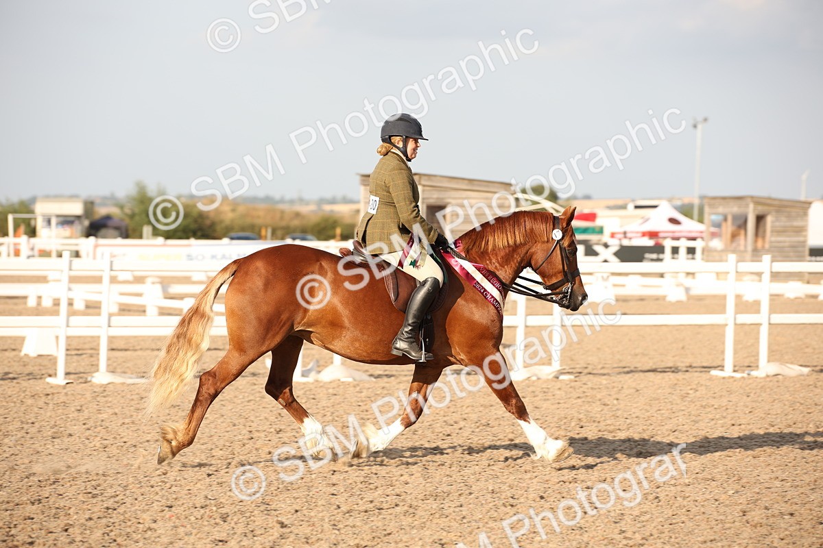 SBM_09221 - Regional Ridden Champ