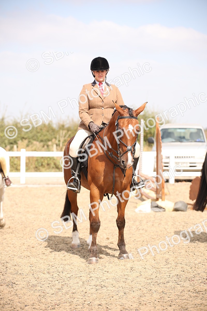 SBM_14363 - Class 407b - Working Veteran 60cm (20+)