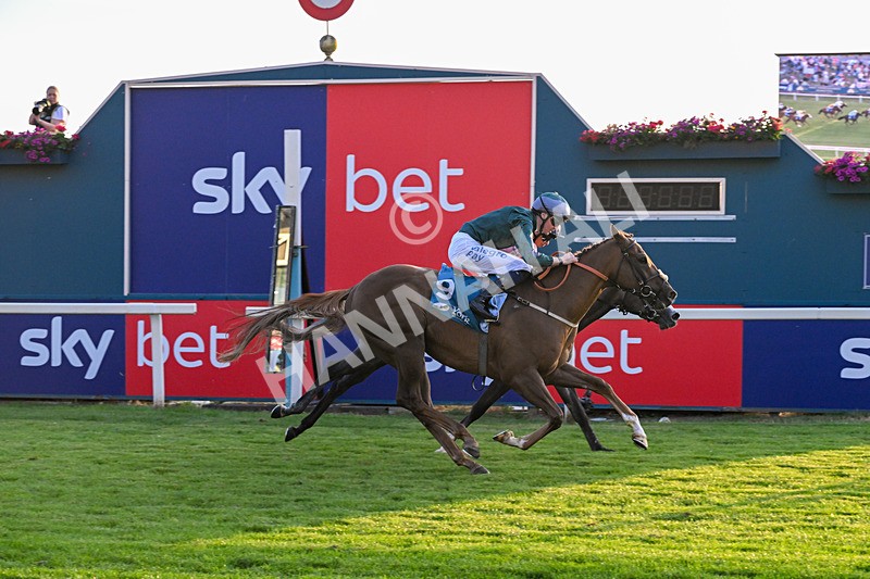 240726-Race 6-Explosive Finnish-5621 - Race 6 20.25pm Sky Bet Go-Racing-In-Yorkshire Summer Festival Handicap