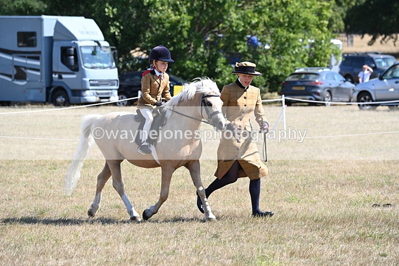WJ6_7736 - Class 36 Lead Rein
