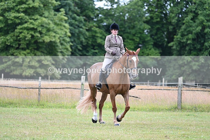 WJ7_9023 - Class 8 Ridden Veterans