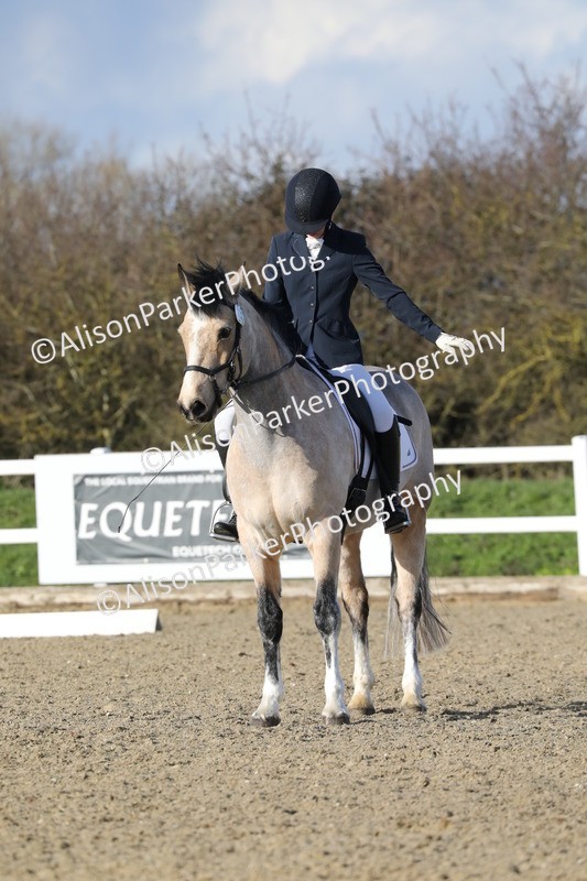 20260314-5828 - DR 7 - Elementary 1