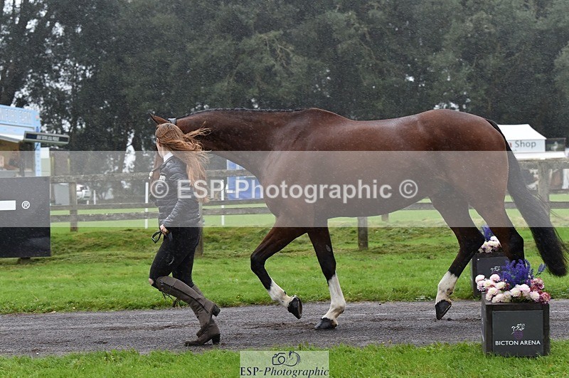 231018-120152-00043 - 040-DODINGTON-Sophie.Wildern-TrotUp