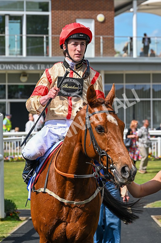 020526-Race 3-Mirsky-9438 - Race 3 2.40pm Sky Bet Thirsk Hunt Cup Handicap