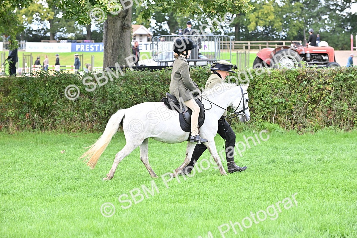 SBM_38339 - S19 - Lead Rein Show & Show Hunter Pony