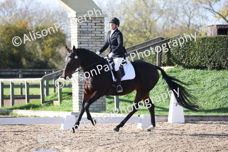 20251101-0605 - Class 4 - Novice 2