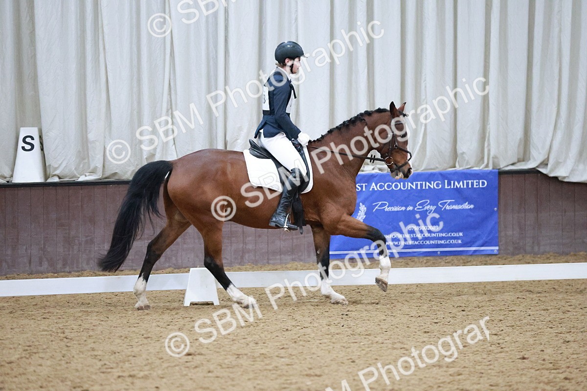 SBM_004685 - Ring 3 - International -  Working Hunter Classes 23-2-25