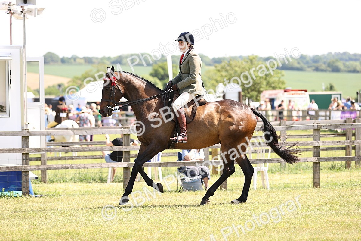 SBM_14897 - Class 78 - LIHS BSHA Open Racehorse & Show Horse