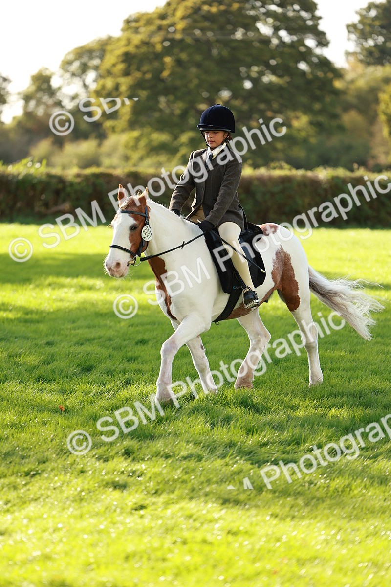 SBM_28693 - S7 - Novice & Newcomer Ridden Pony