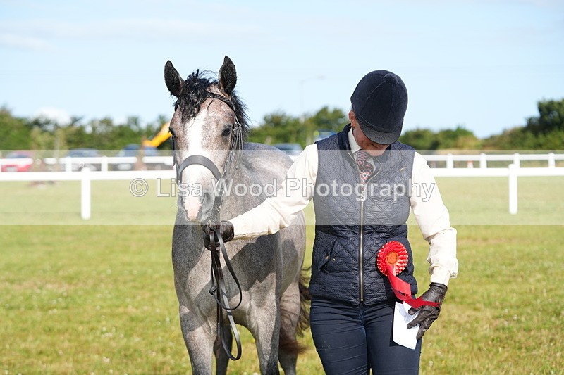 DSC04850 - Class 47: NPS M&M Yearling