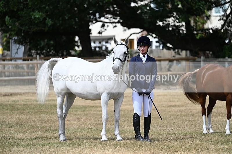 WJ7_1704 - Class 4 Prettiest Mare up to 14.2hh in hand