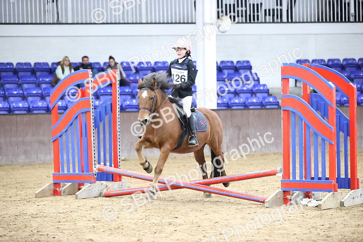 SBM_000255 - Class 2 - The Rug Lady 40cm