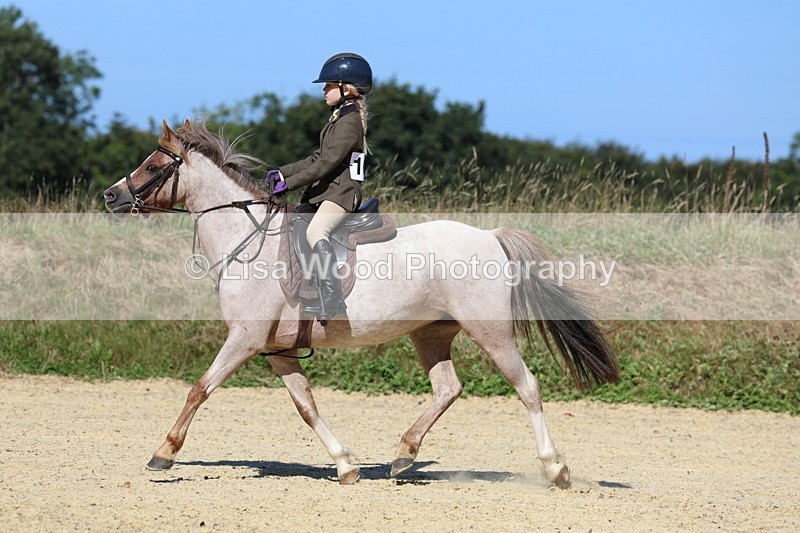 3E7A8204 - Class 16: First Ridden