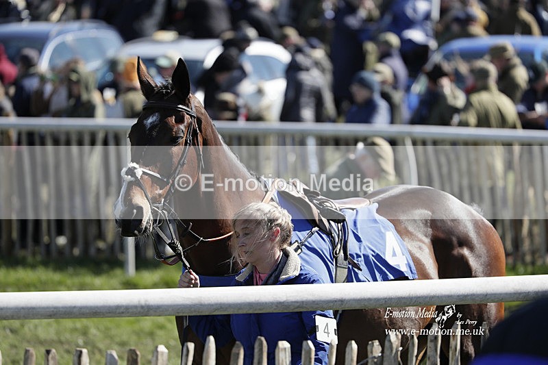 PtP 100423 575 - Old Berkshire Point-to-Point Lockinge 10/04/23