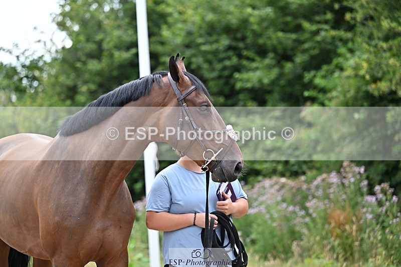 250716-135644-00714 - Trot Up 1.30 to 2.30