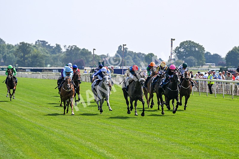 100726-Race 2-Flora Of Bermuda-9623 - Race 2 14.45pm William Hill Summer Stakes