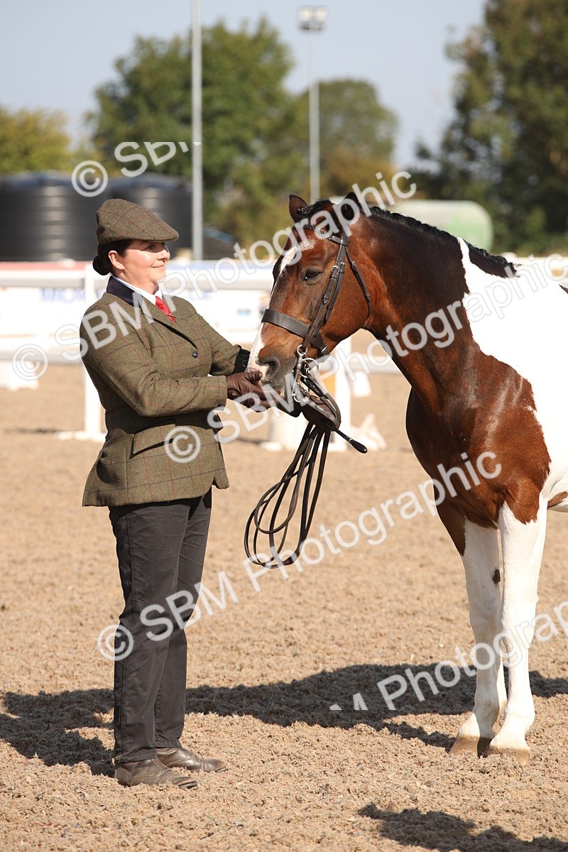 SBM_01517 - Class 15 IH Coloured