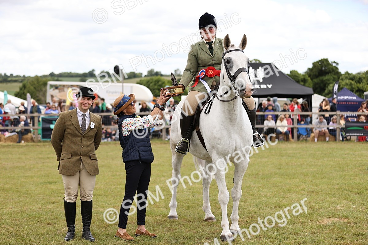 SBM_14823 - Class 88-89 - LIHS BSHA Rising Star of Ridden Hunter Type