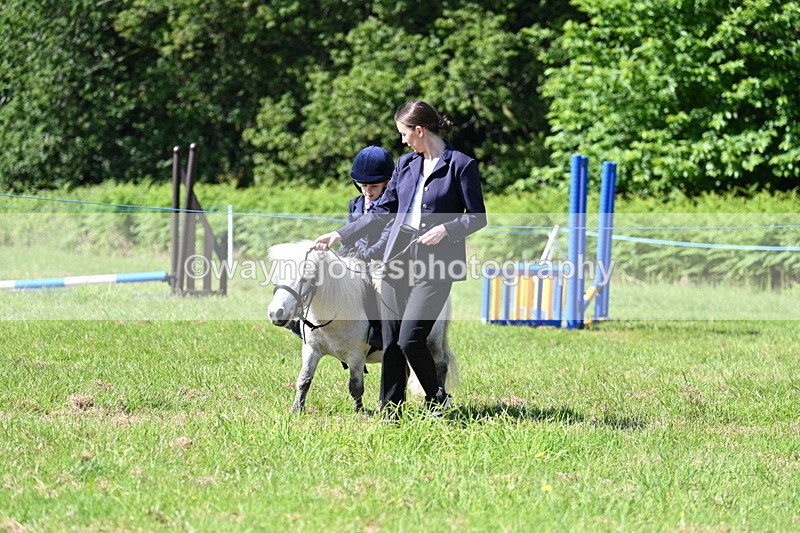 WJ7_0546 - Class 8 First Rally Pony