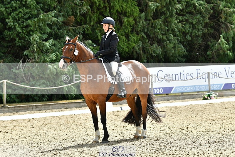 260801A-124606-04053 - Prelim Bronze Break - End