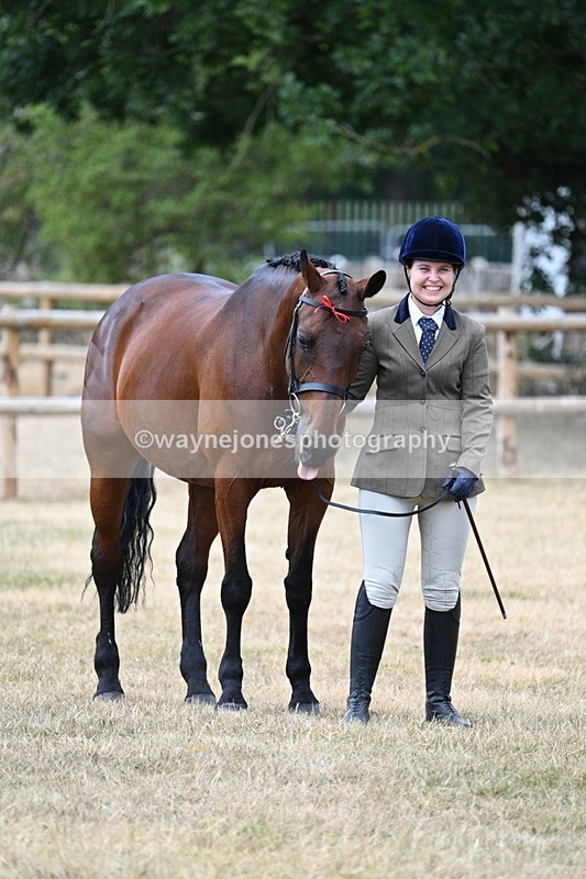 WJ7_1839 - Class 4a Prettiest Mare 14.2hh and over hand