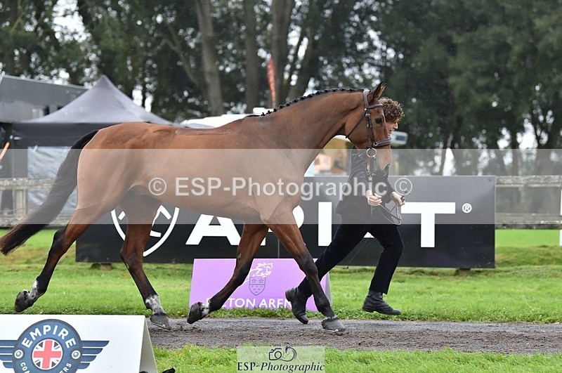 231018-122922-00329 - 039-LAUSANNE.W-Charlie.Ahl-TrotUp