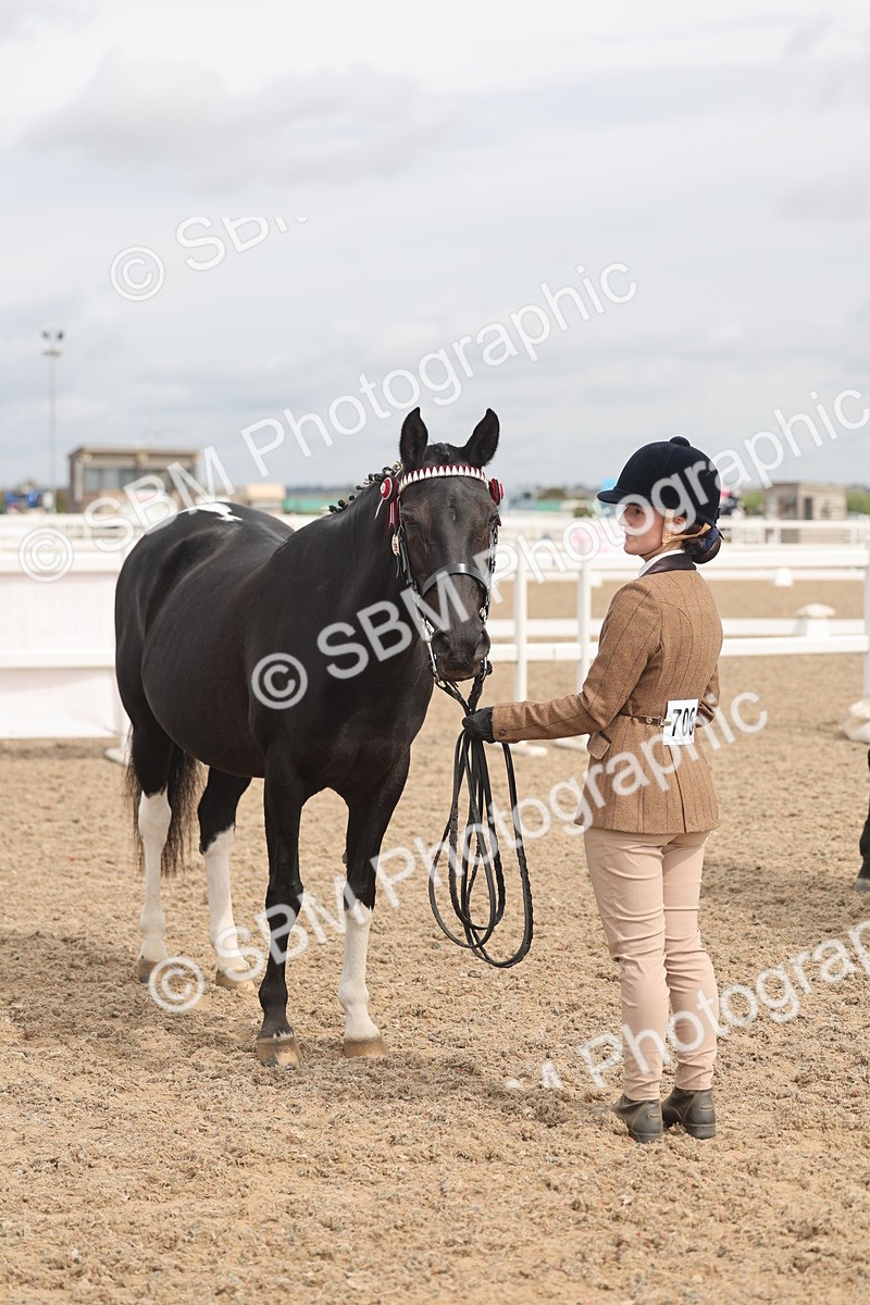 SBM_05018 - Class 20 - IH Veteran