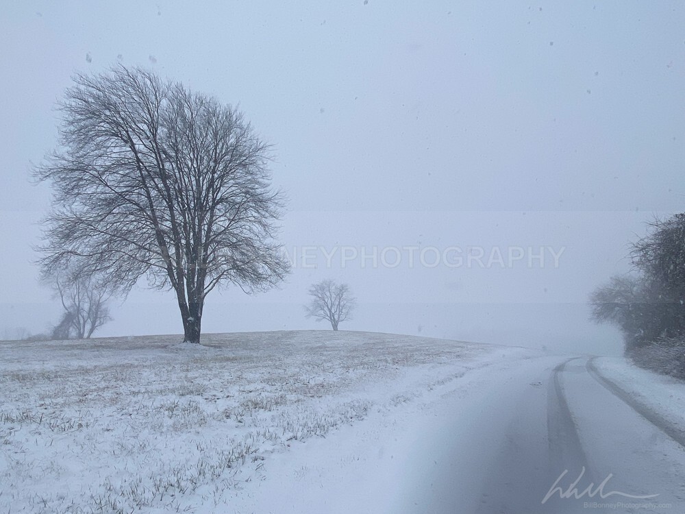 IMG_9336 - Roads