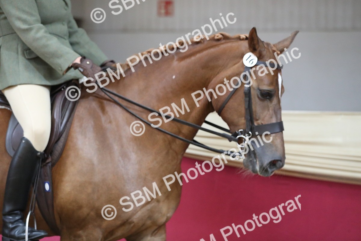 SBM_02838 - Class 6a Area Ridden Pre Vet
