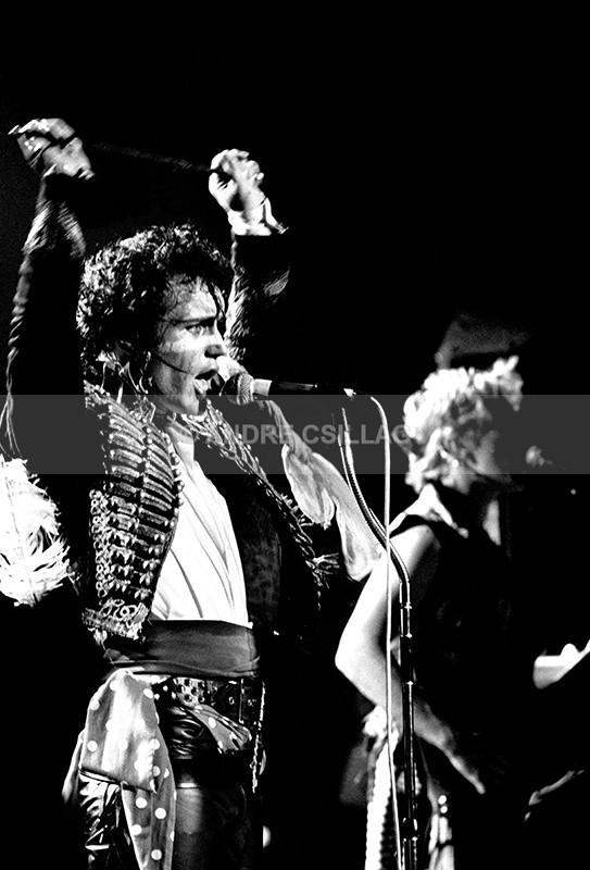ADAM ANT - A..