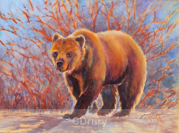 Brutus Bear - Original Paintings
