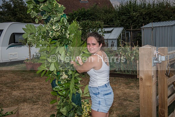 NMH-025 - Sonja and Steve's Wedding 21/7/2018
