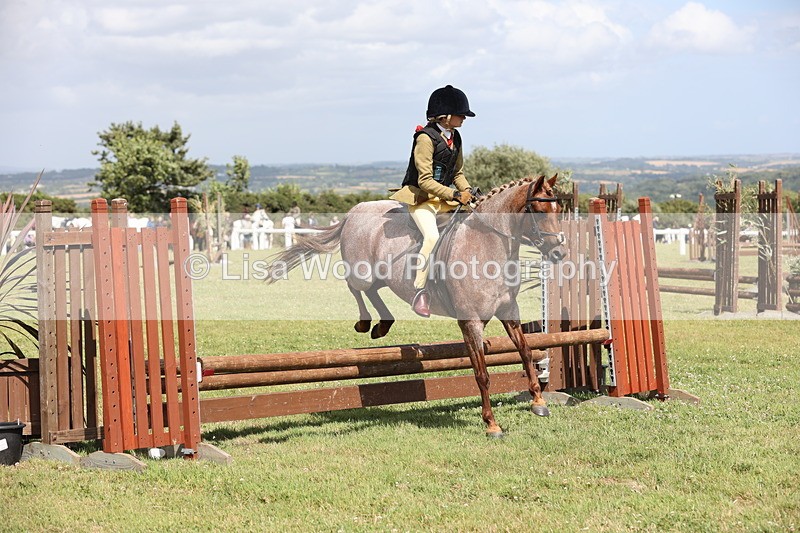 JPP_2127 - Class 19: Working Hunter 60cm