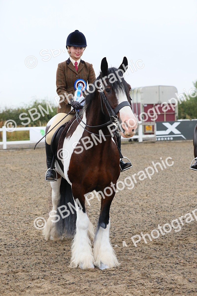 SBM_19964 - Class 801 - Ridden Veteran