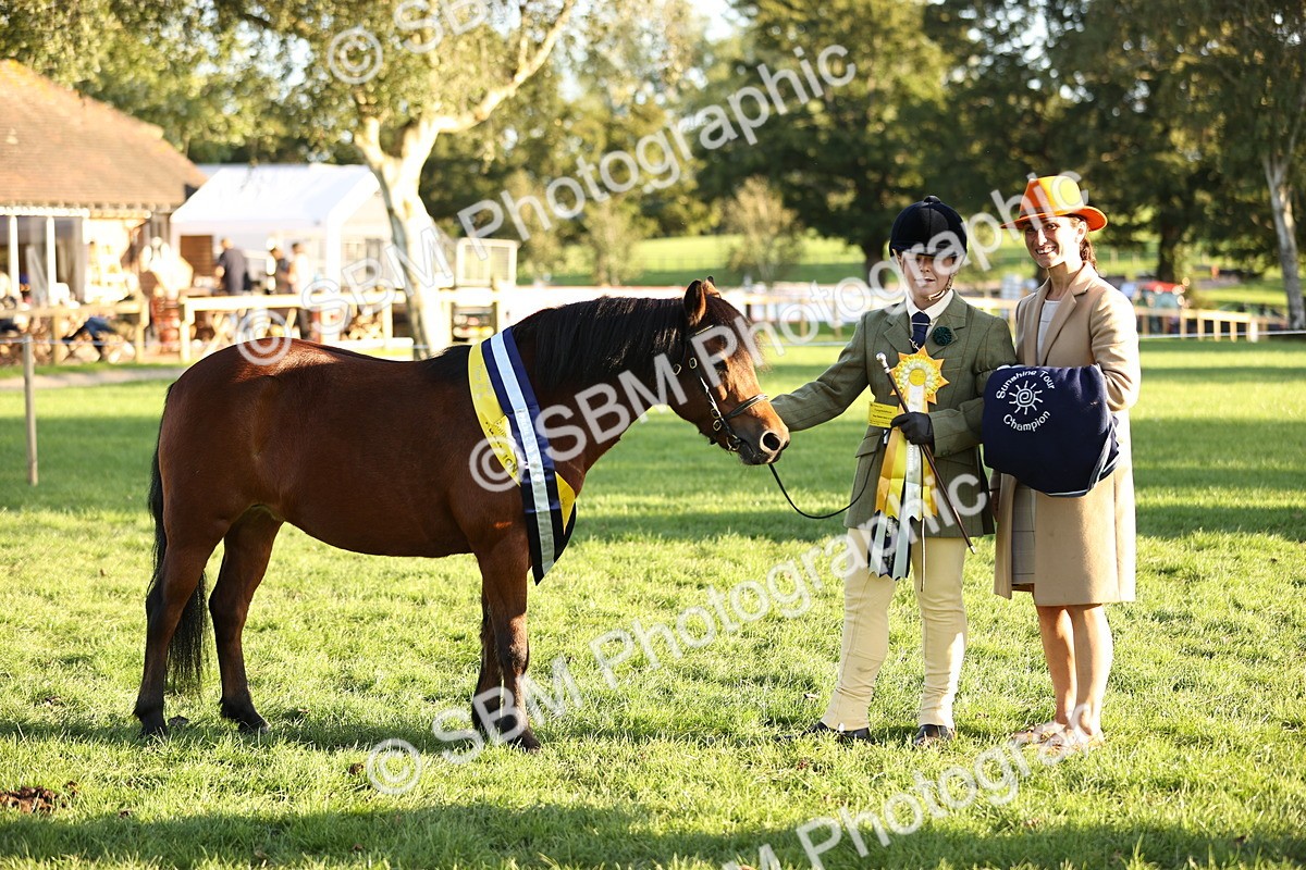 SBM_30133 - Novice & Newcomers Supreme Championship