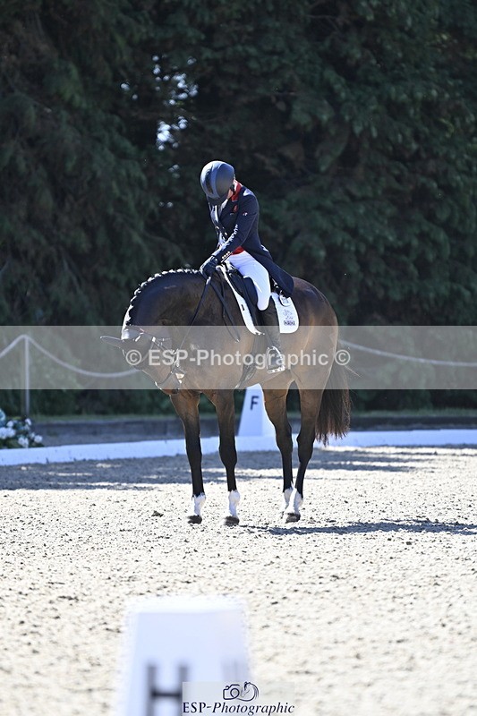 250522A-101529-02658 - B-310-Kitty.King-LISCARROW.FERNHILL